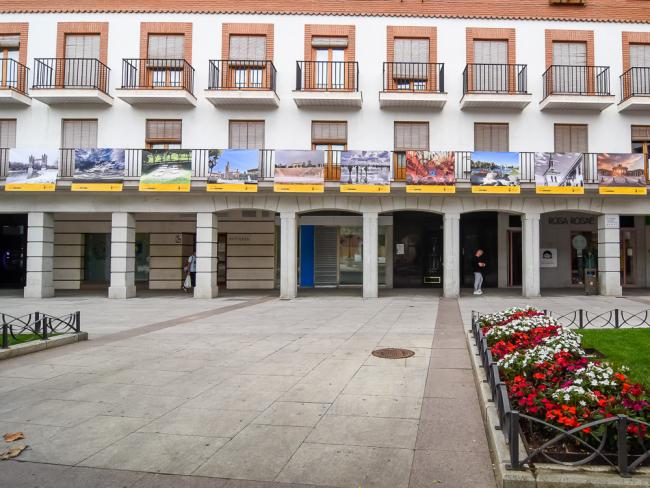 Exposiciones