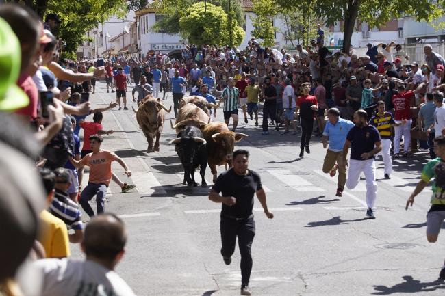 Fiestas Populares 2022 - Encierro 