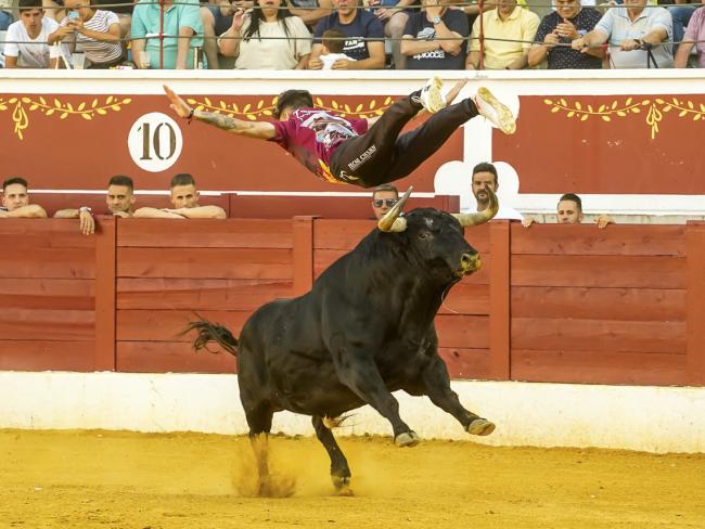 Fiestas Populares 2022 - Feria Taurina - Concurso de Recortes