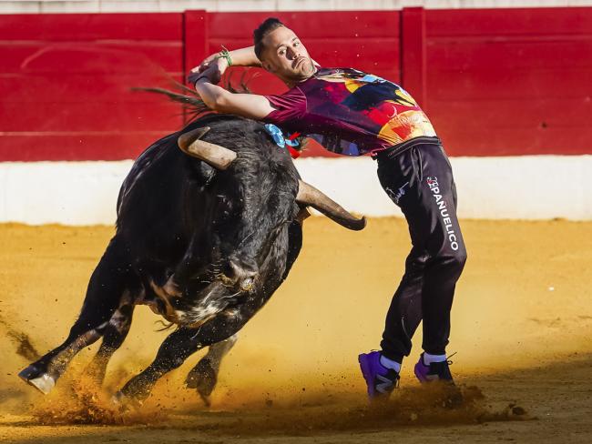 Fiestas Populares 2022 - Feria Taurina - Concurso de Recortes