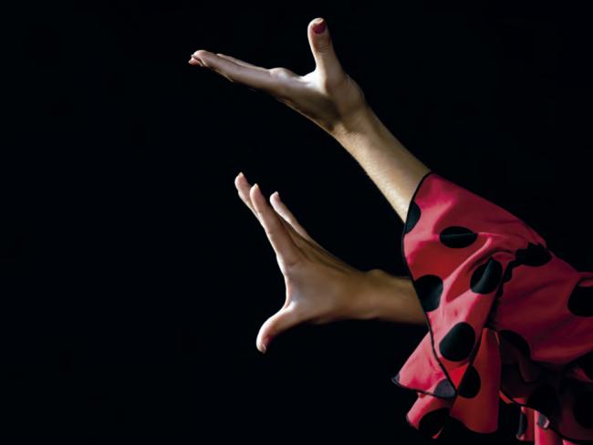 Al compás del flamenco
