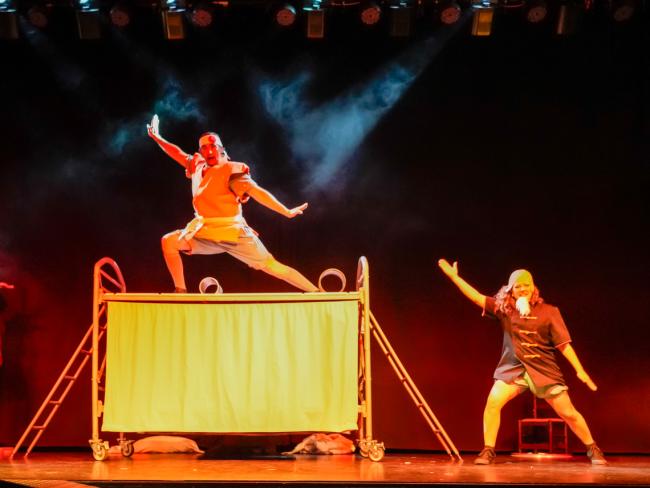 Festival de Circo